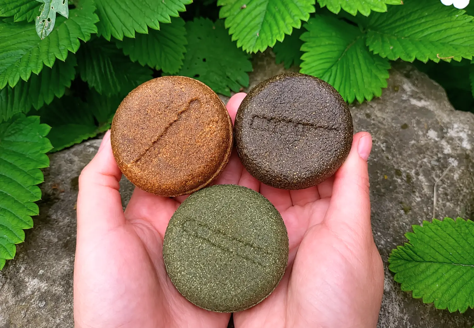 BinaturalProducts - Kenes csalanos sampontomb